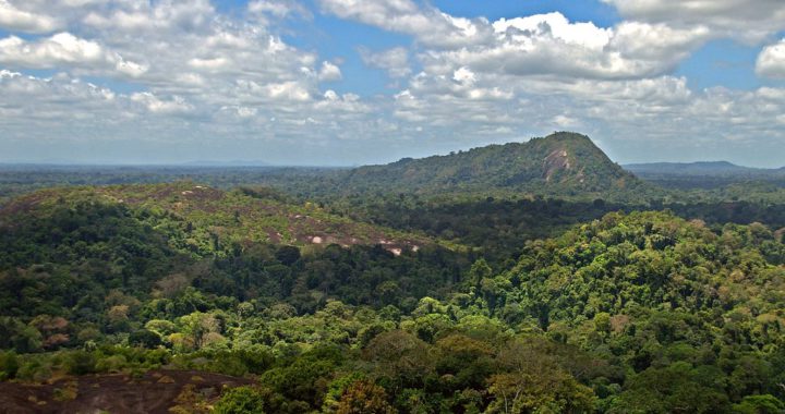 peruaanse jungle