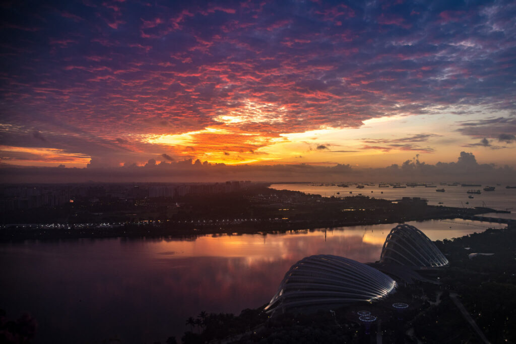 gardens by the bay singapore