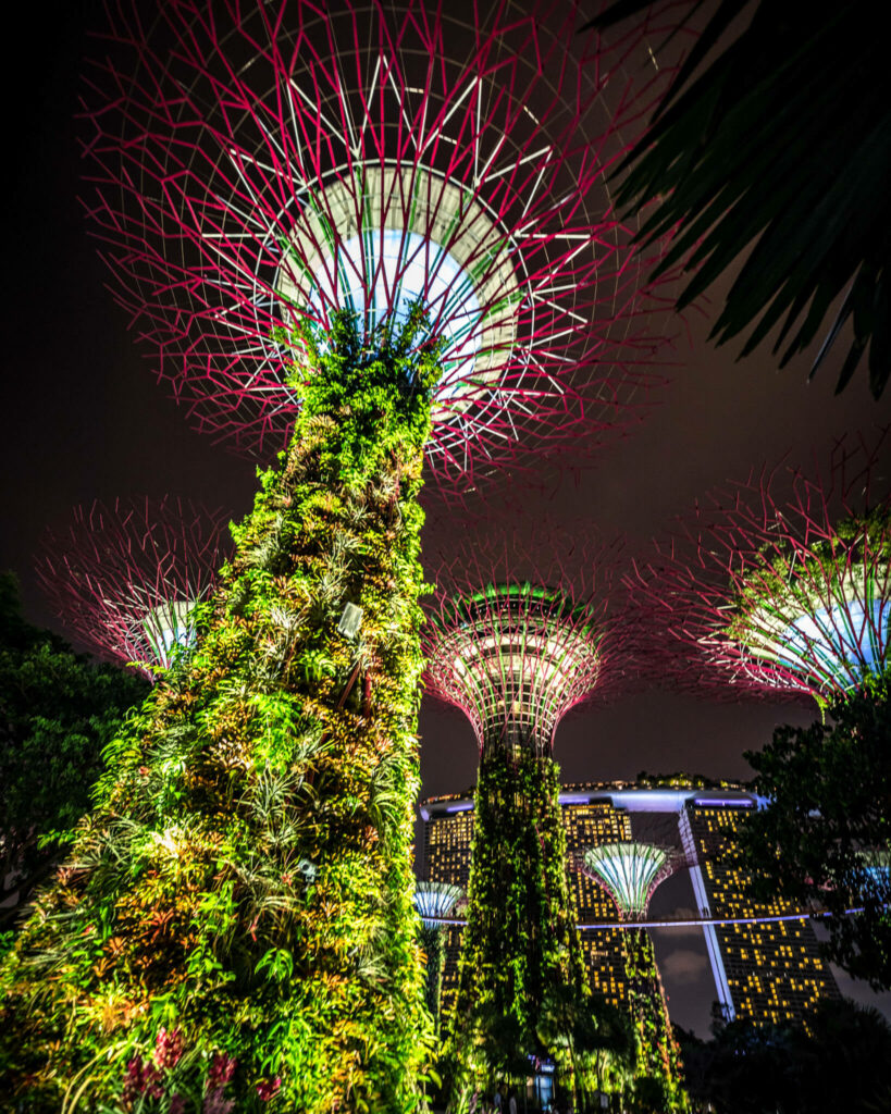 singapore supertree grove