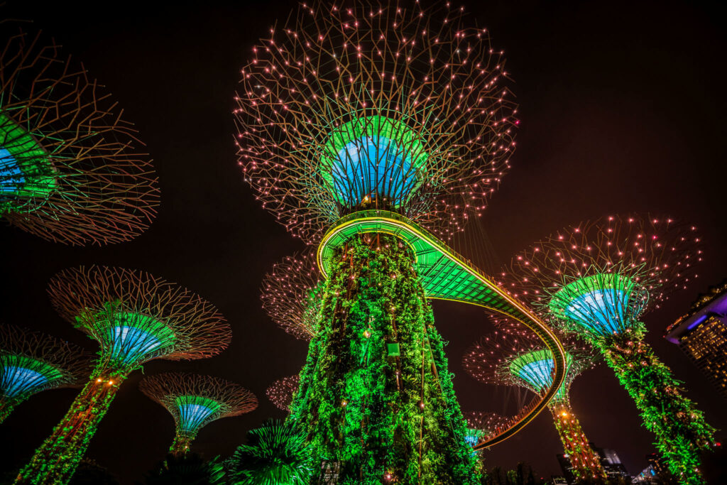 supertree grove
