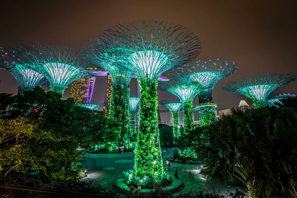 supertree grove gardens by the bay