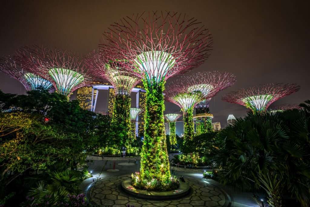 supertree grove singapore